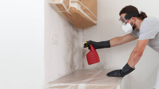 Professional Crawl Space Mold Remediation technician working in Herndon, VA
