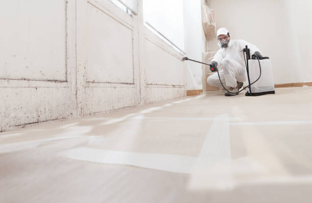 24/7 Emergency Crawl Space Mold Remediation experts in Herndon, VA