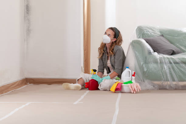 Reliable Crawl Space Mold Remediation contractor in Herndon, VA by 24 Hour Mold Removal