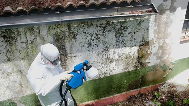 Top rated local Crawl Space Mold Remediation specialists in Herndon, VA